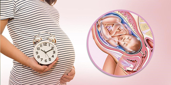 ba-thang-dau-be-se-quay-dau Ba tháng cuối thai nhi sẽ quay đầu để thuận lợi chào đời