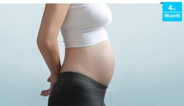Bụng bầu 4 tháng bắt đầu phát triển nhanh về kích thước