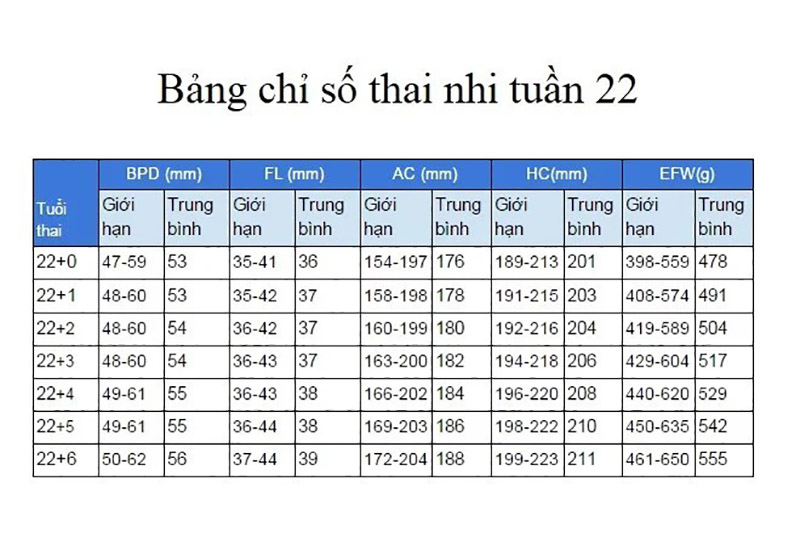 Chỉ số thai nhi tuần 22