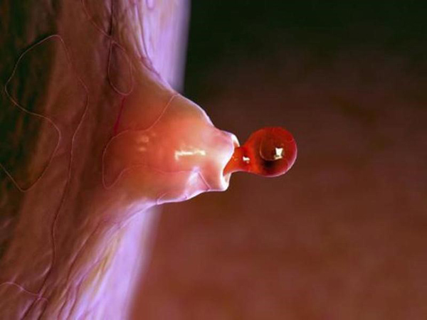 Dấu hiệu rụng trứng