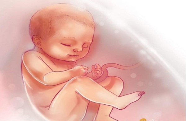 duong-kinh-luong-dinh-thai-38-tuan Đường kính lưỡng đỉnh thai 38 tuần