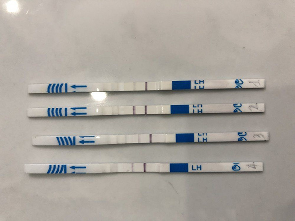 Khi nào que thử trứng cho kết quả không chính xác