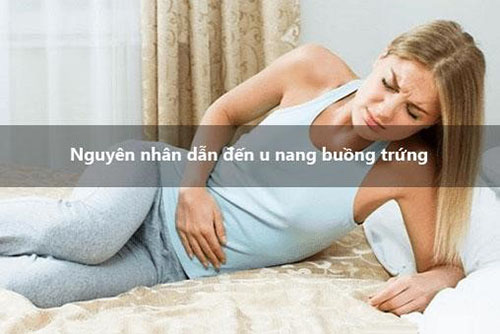 Nguyên nhn6 u nang tử cung