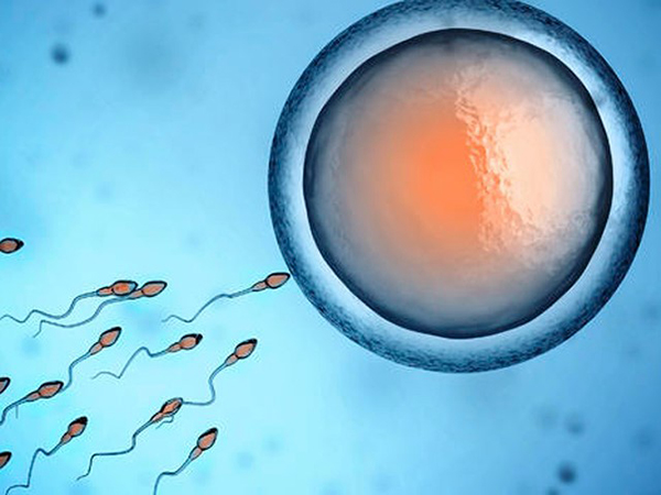 Quan hệ khi có kinh nguyệt ngày cuối có thai không?