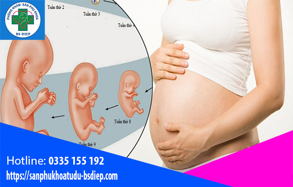 Suy dinh dưỡng bào thai