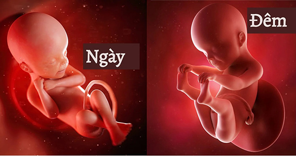 thai-nhi-dap-nhieu-vao-ban-dem Mẹ sẽ cảm nhận được thai nhi đạp nhiều vào ban đêm hơn là ban ngày