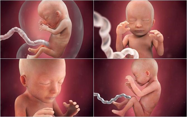 Thai suy dinh dưỡng