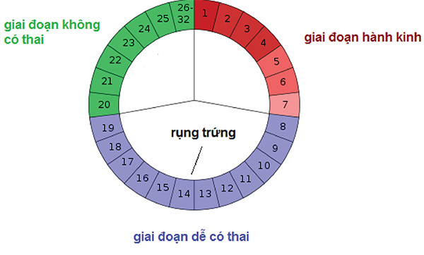 Tính ngày an toàn