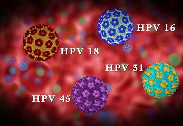 virus-hpv-1 Virus HPV
